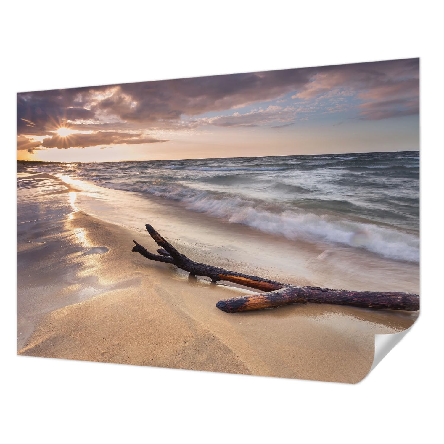 Revêtement mural autocollant 208x146 cm Plage de l'Ouest pour salon et chambre