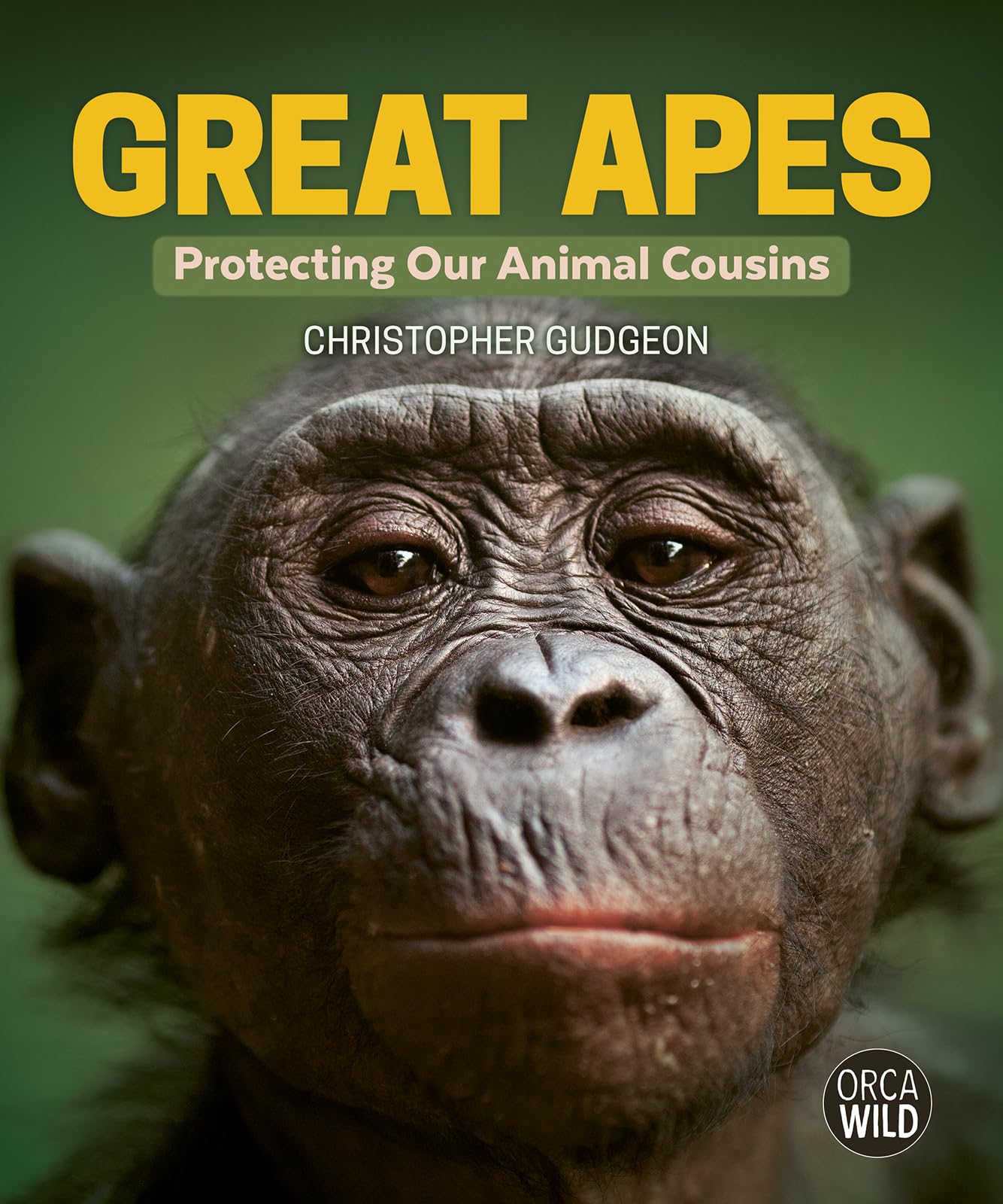 Great Apes: Protecting Our Animal Cousins (Orca Wild, 15)