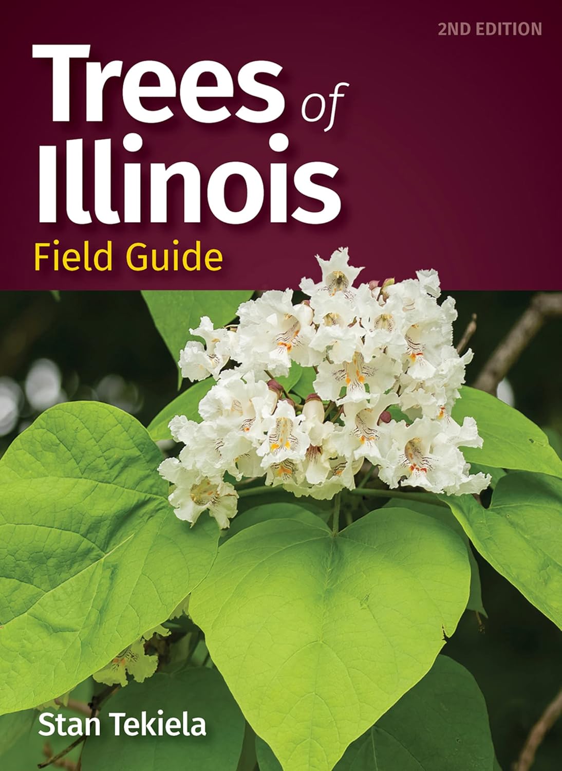 Trees of Illinois Field Guide (Tree Identification Guides) Tekiela, Stan 9781647553784 Amazon