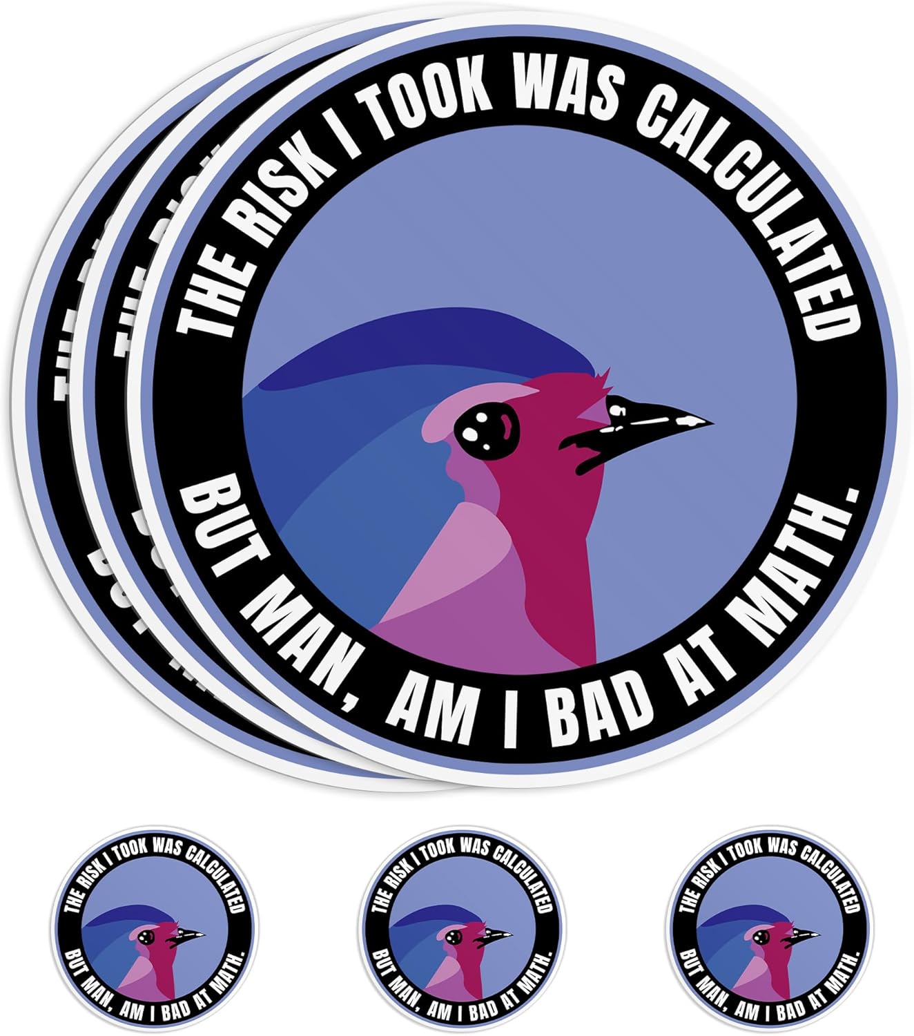 Amazon.com: (3Pcs) The Risk I Took was Calculated Sticker, Bird But Man ...