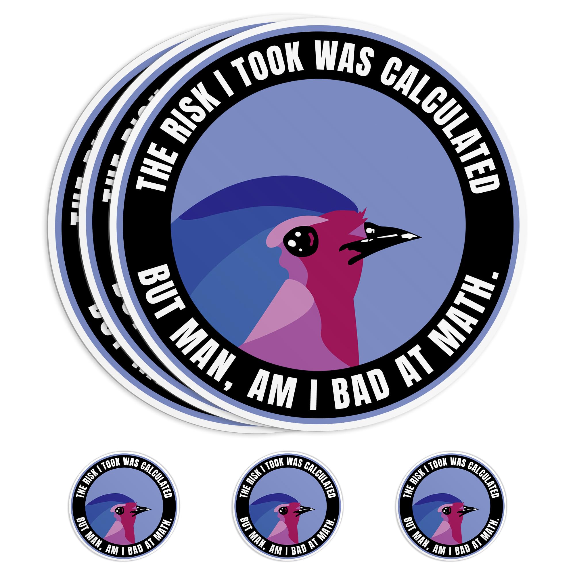 (3Pcs) The Risk I Took was Calculated Sticker, 3" Bird But Man Am I Bad at Math, Mathematics Waterproof Die-Cut Vinyl Sticker for Laptop, Tumbler,