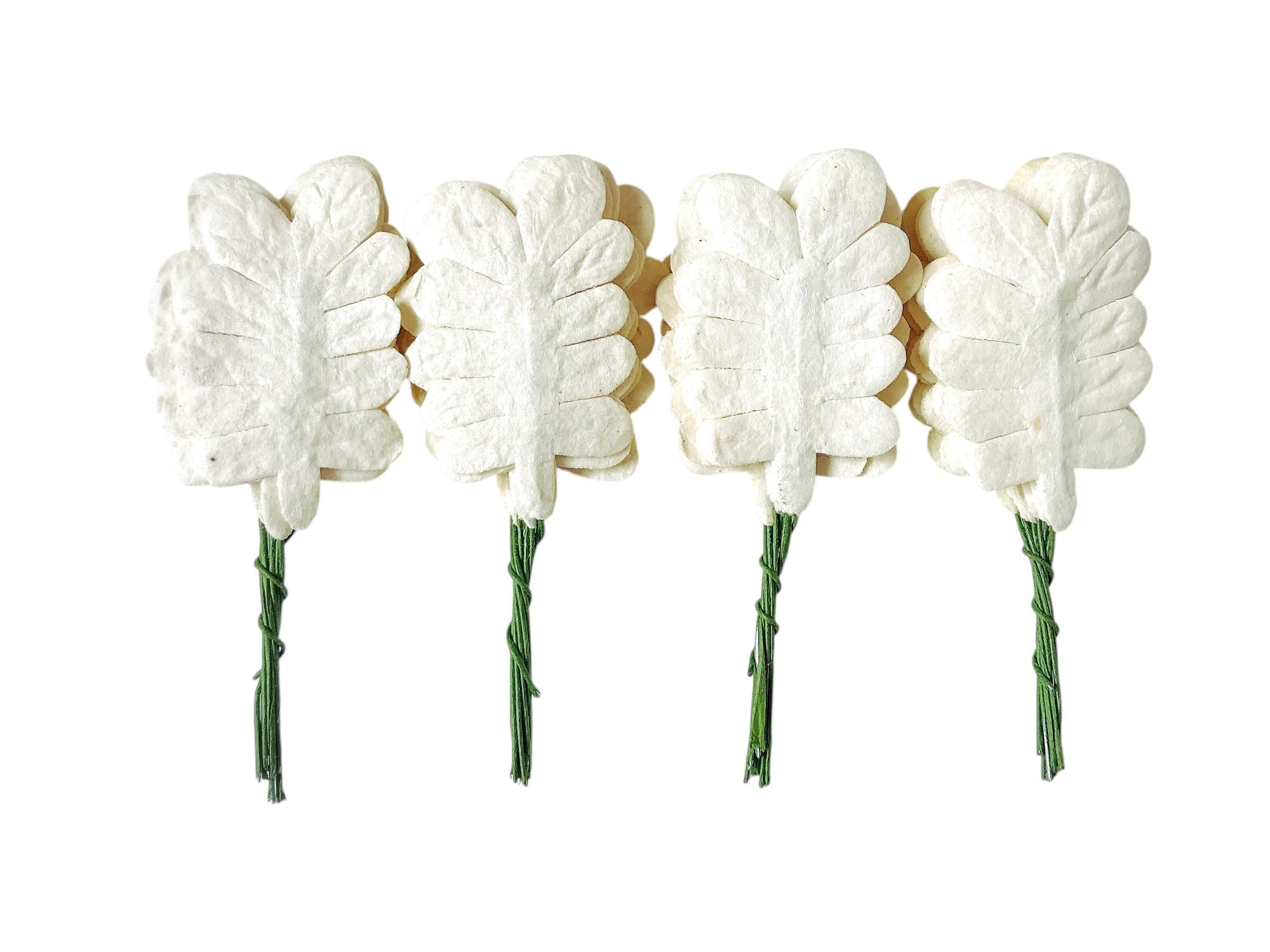 Ploen 25 pcs Off White Leaves Ferns Mulberry Paper Leaves with Wire Stems Fern2 Leaf Mulberry Paper Craft Supplies Scrapbooking Embellishments for so Many Card DIY Craft Projects Leaves151