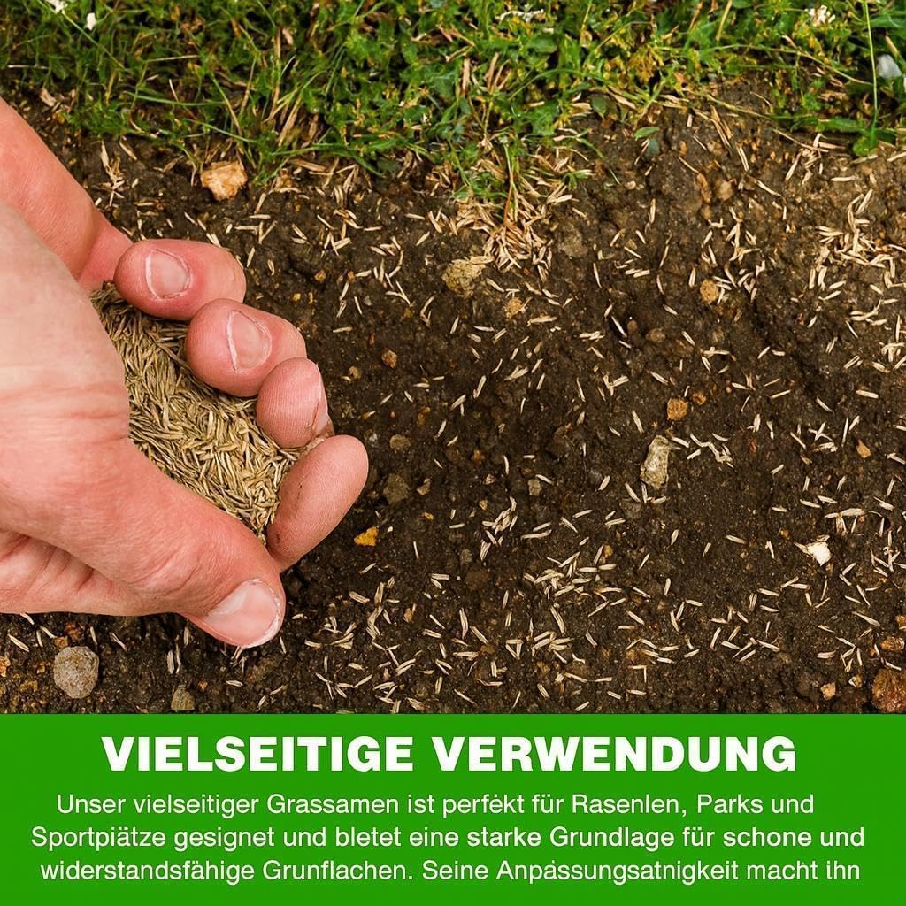 GroundMaster: seme di erba per prato posteriore premium resistente, resistente all'usura e resistente. Varie dimensioni disponibili.