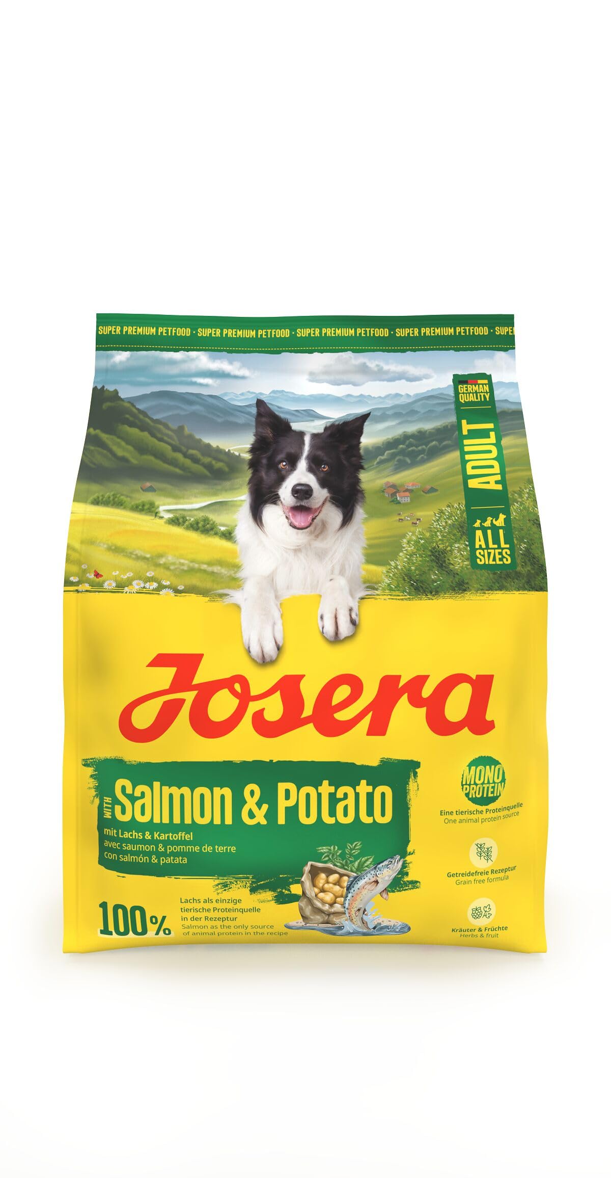 JOSERA Adult Lachs & Kartoffel (1 x 900 g) | Premium Trockenfutter für ausgewachsene Hunde (auch Senioren) | Monoprotein - 100% Lachs | wenig Protein | getreidefrei | Hundefutter | 1er Pack