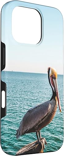 Vista 51 de iPhone 11 Pelican Case