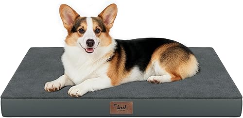 Miniatura 50 de Cama Ortopédica para Perros de Exterior para Perros Medianos y Gatos, Tapete Plano Impermeable para Mascotas con Espuma de Caja de Huevos y Funda