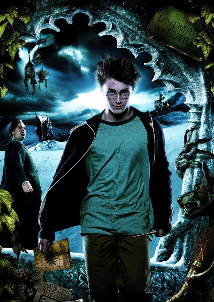 Panini France SA -LA Magia filmu Harry Potter 11 kieszeni, 2532-020