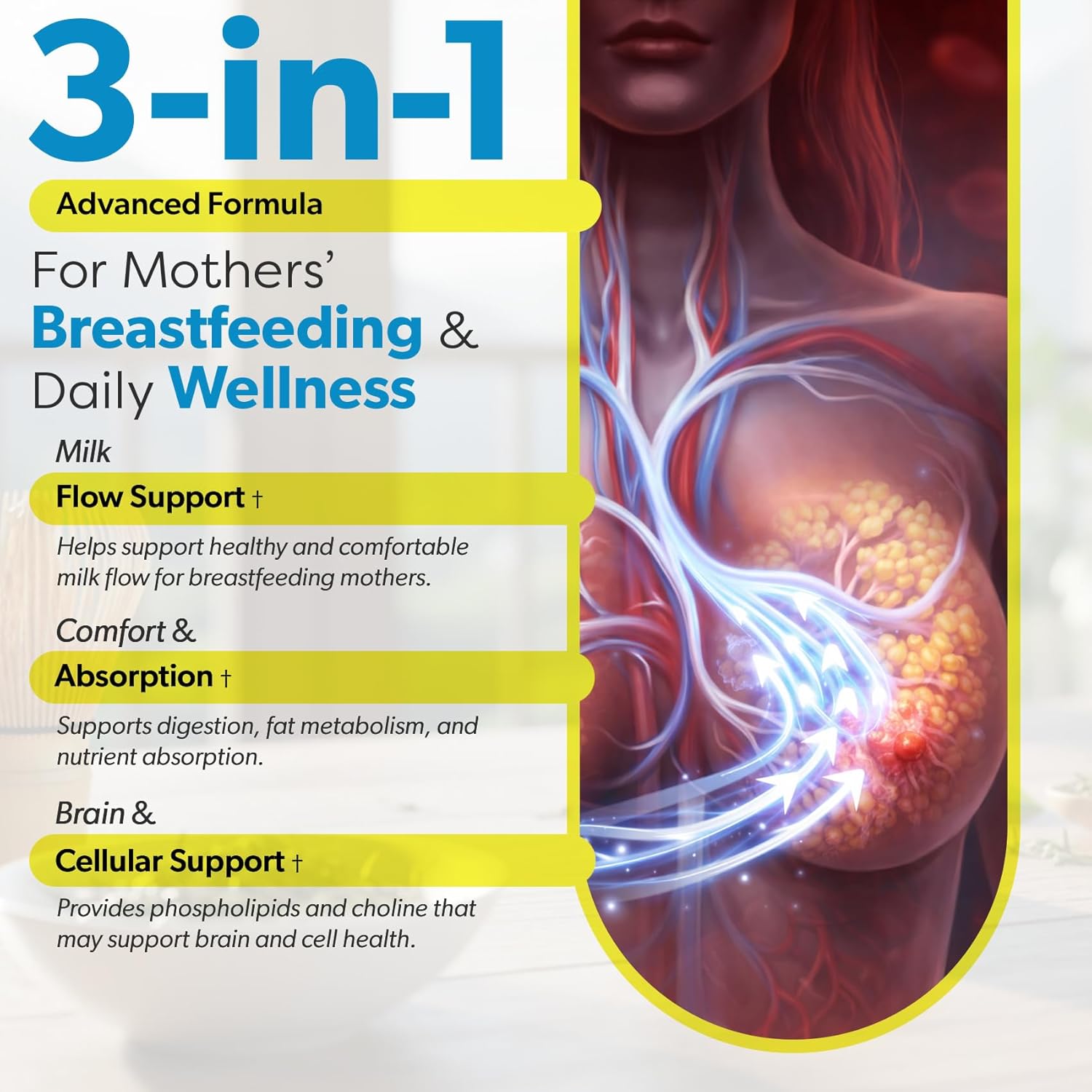 Organic Sunflower Lecithin 1200 mg – Sunflower Lecithin Breastfeeding Supplement for Moms – Supports Milk Flow, Clogged Duct Relief, Brain & Liver Health – Soy-Free, Non-GMO – 100 Softgels - Image 2