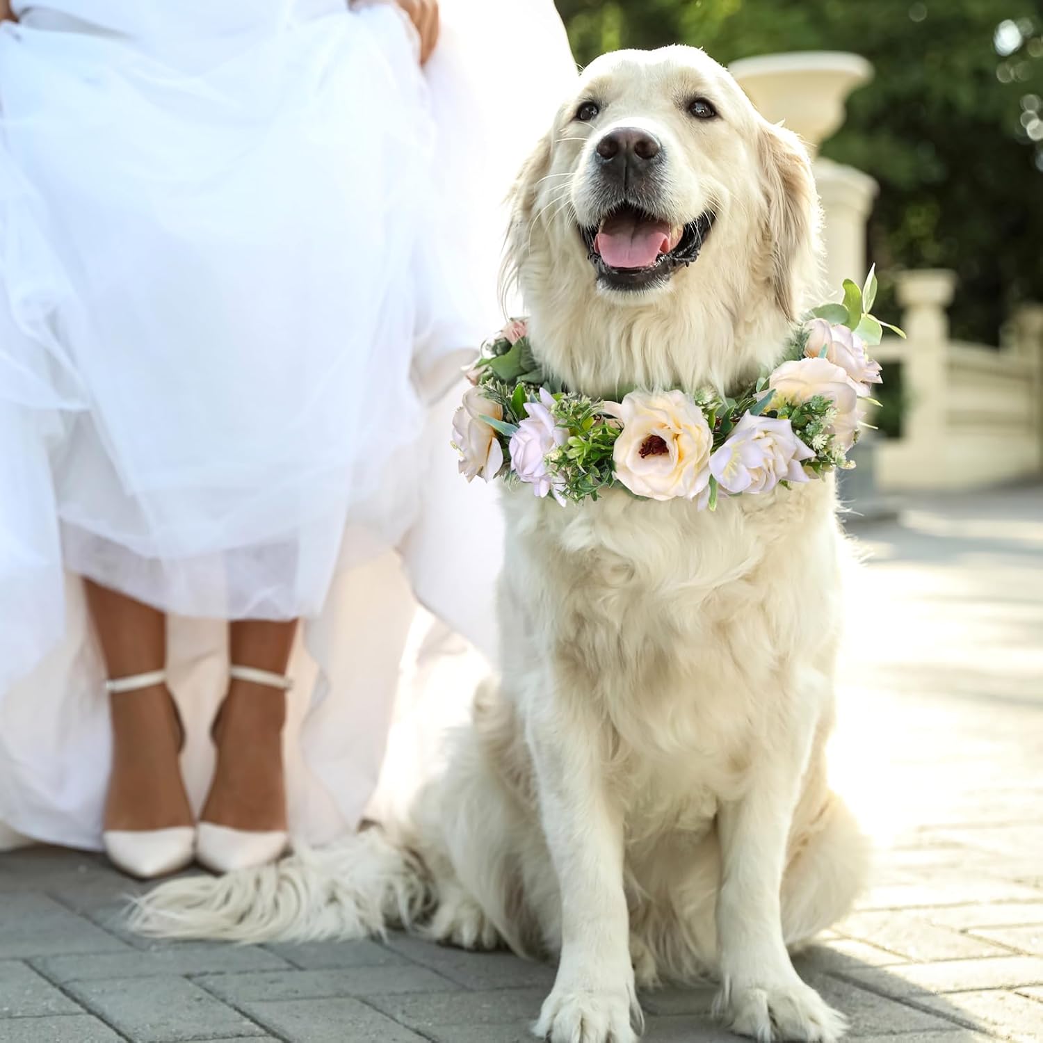 Pearls by Dog Wedding Collar and Leash Set - Elegant Flower Headband with Beaded Pearls - Adjustable Floral Collar (Medium) image 5