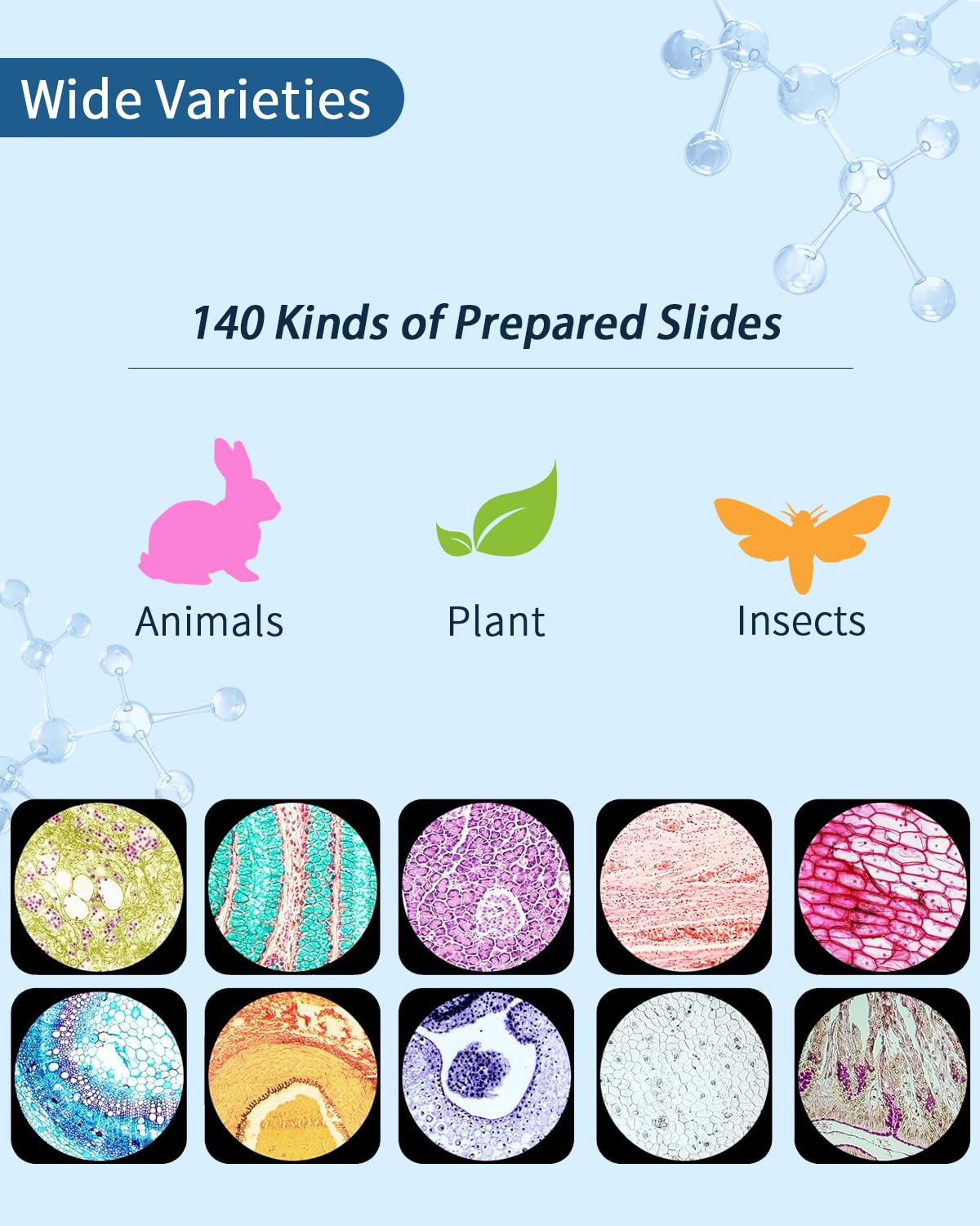 140 portaobjetos de microscopio con especímenes, portaobjetos de vidrio prefabricados con muestras, portaobjetos educativos y cubiertas de microscopio para jóvenes científicos, perfectas para clases