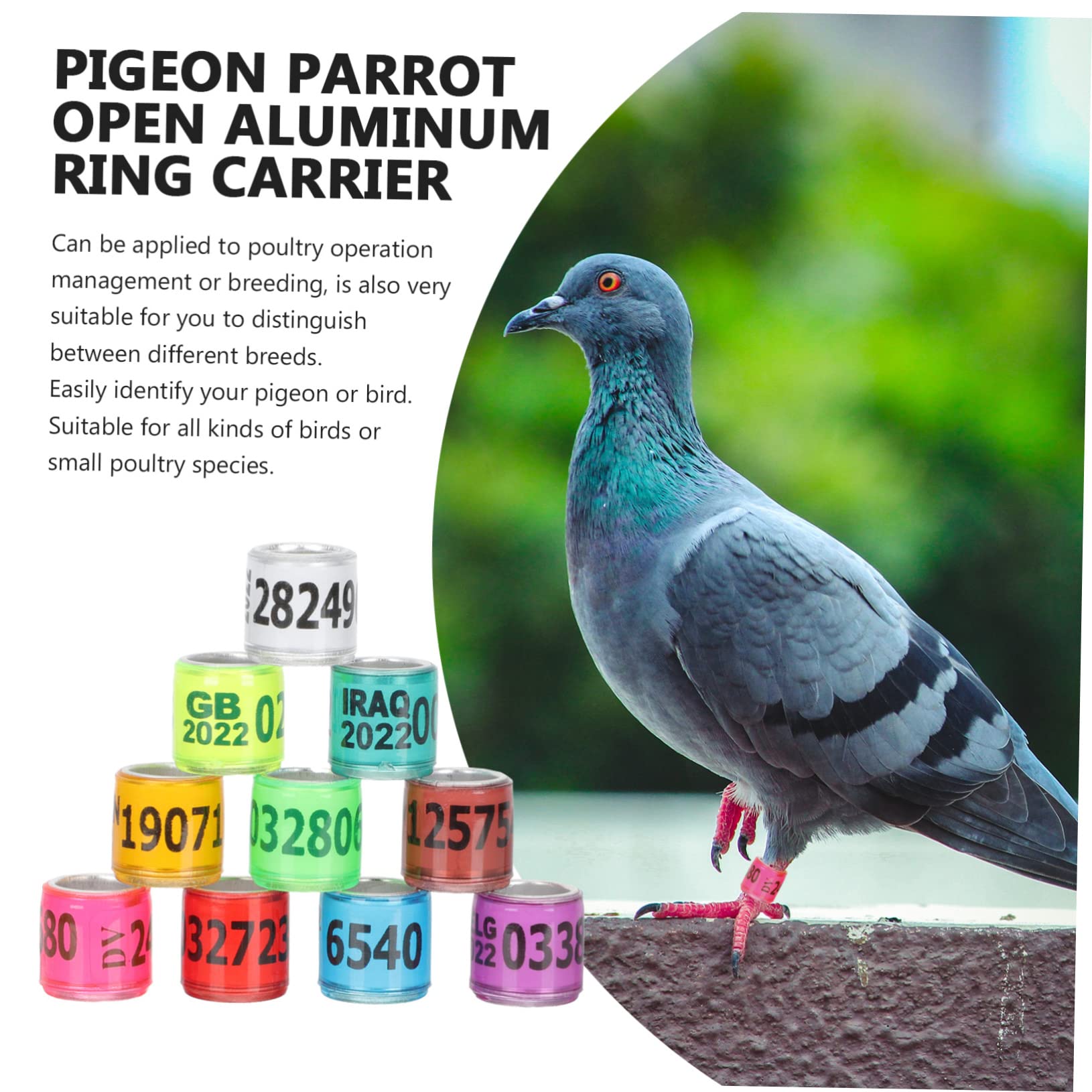 BESPORTBLE 300pezzi Anelli Identificativi Alluminio per Piccioni e Uccelli Fasce Colorate per Allenamento e Monitoraggio per Pappagalli e Pollame