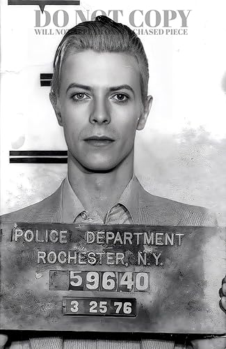 David Bowie Mugshot Fotografía 11 X 17 - Magnífico retrato de 1976 con foto - Busted in New York State - Icono de la música - Los años setenta -