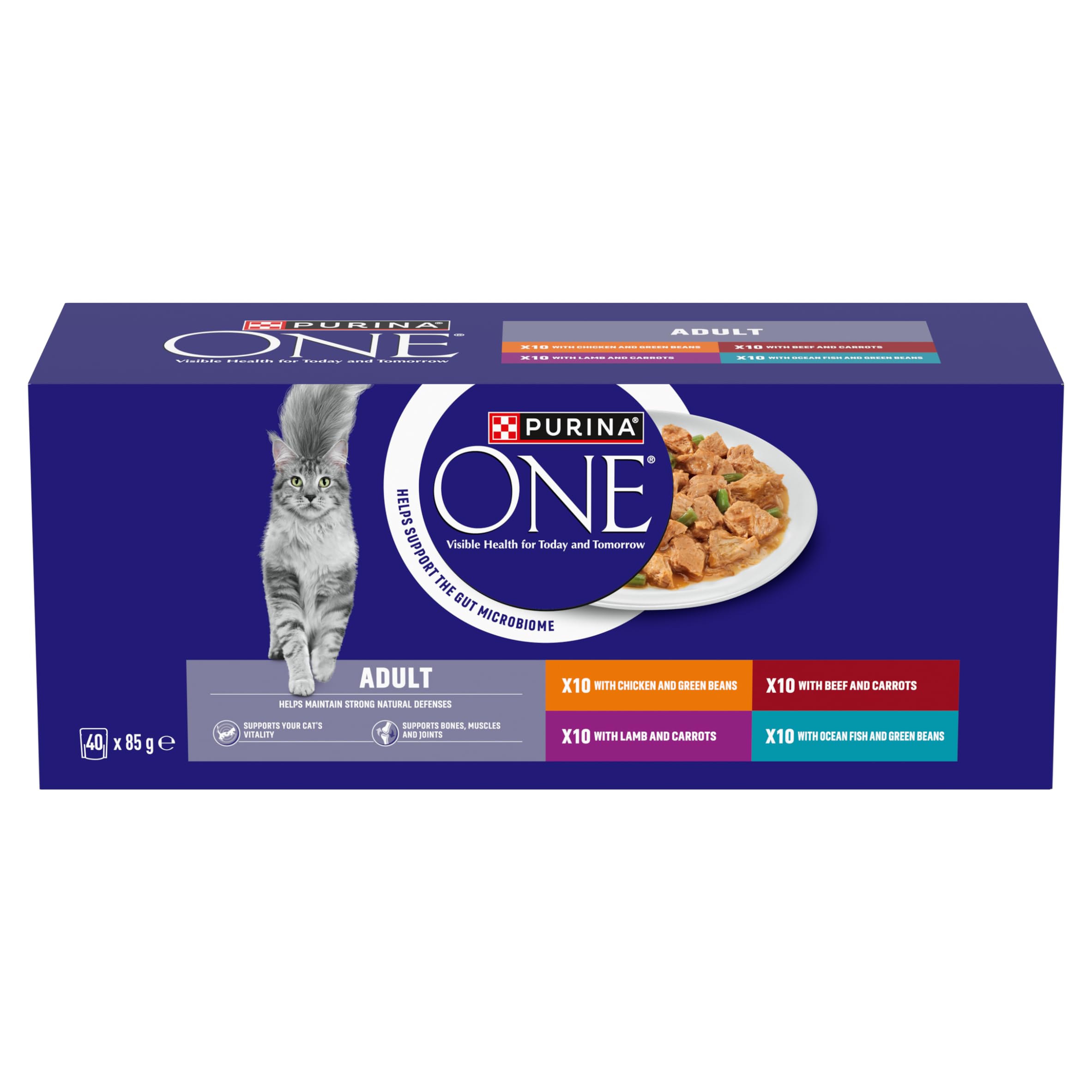 Purina ONE Adult Cat Mini Fillets in Gravy Wet Food - 40 x 85g