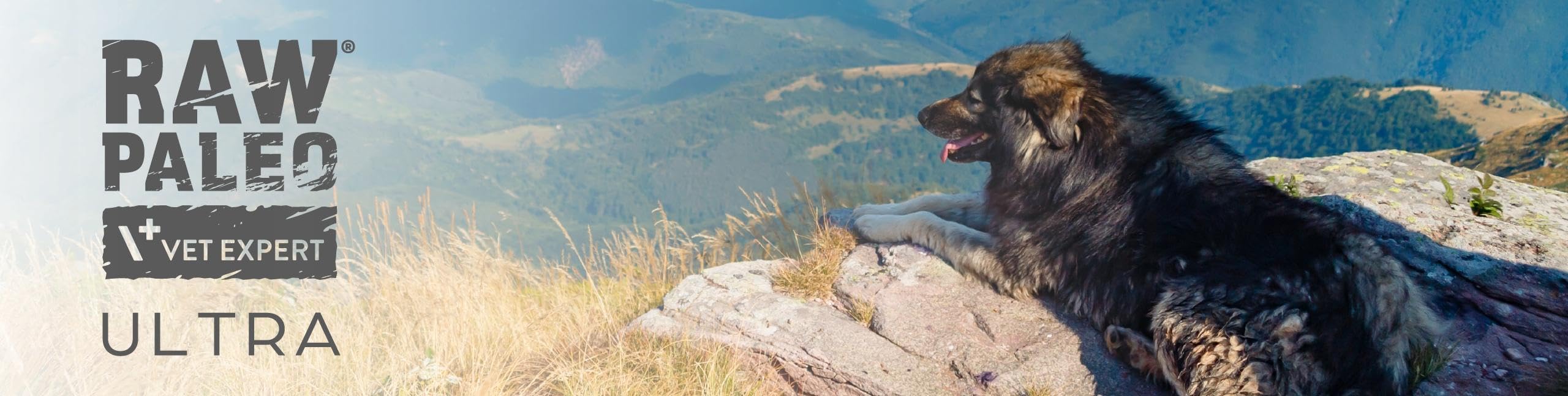 ULTRA BEEF Sucha Karma dla Psów Dorosłych Średnich i Dużych Ras, Wołowina, 10 kg