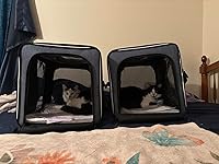 Review Image by LadyDetective LadyDetective