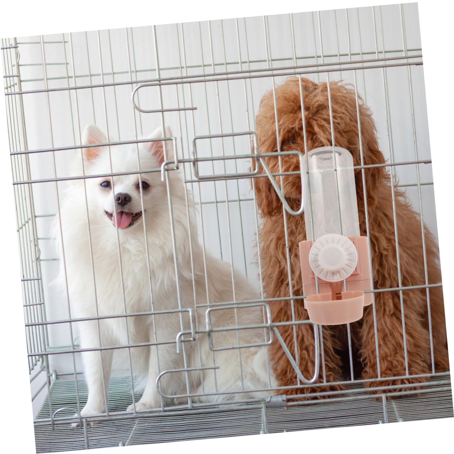Angoily 3pezzi Distributore per Animali Domestici Bottiglia Portatile per Cani e Gatti Abbeveratoio da Appeso per Gabbie Design Trasparente e Compatto Facile da Pulire e Utilizzare per