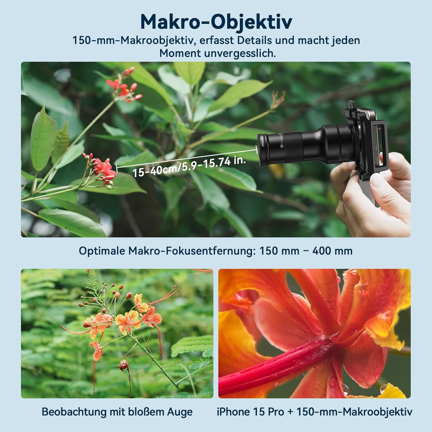 Examples of macro photography using the APEXEL 150mm macro lens, showing flowers.
