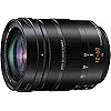 PANASONIC LUMIX G LEICA DG VARIO-ELMARIT PROFESSIONAL LENS, 12-60MM, F2.8-4.0 ASPH, MIRRORLESS MICRO FOUR THIRDS, POWER O.I.S, H-ES12060 (Renewed)