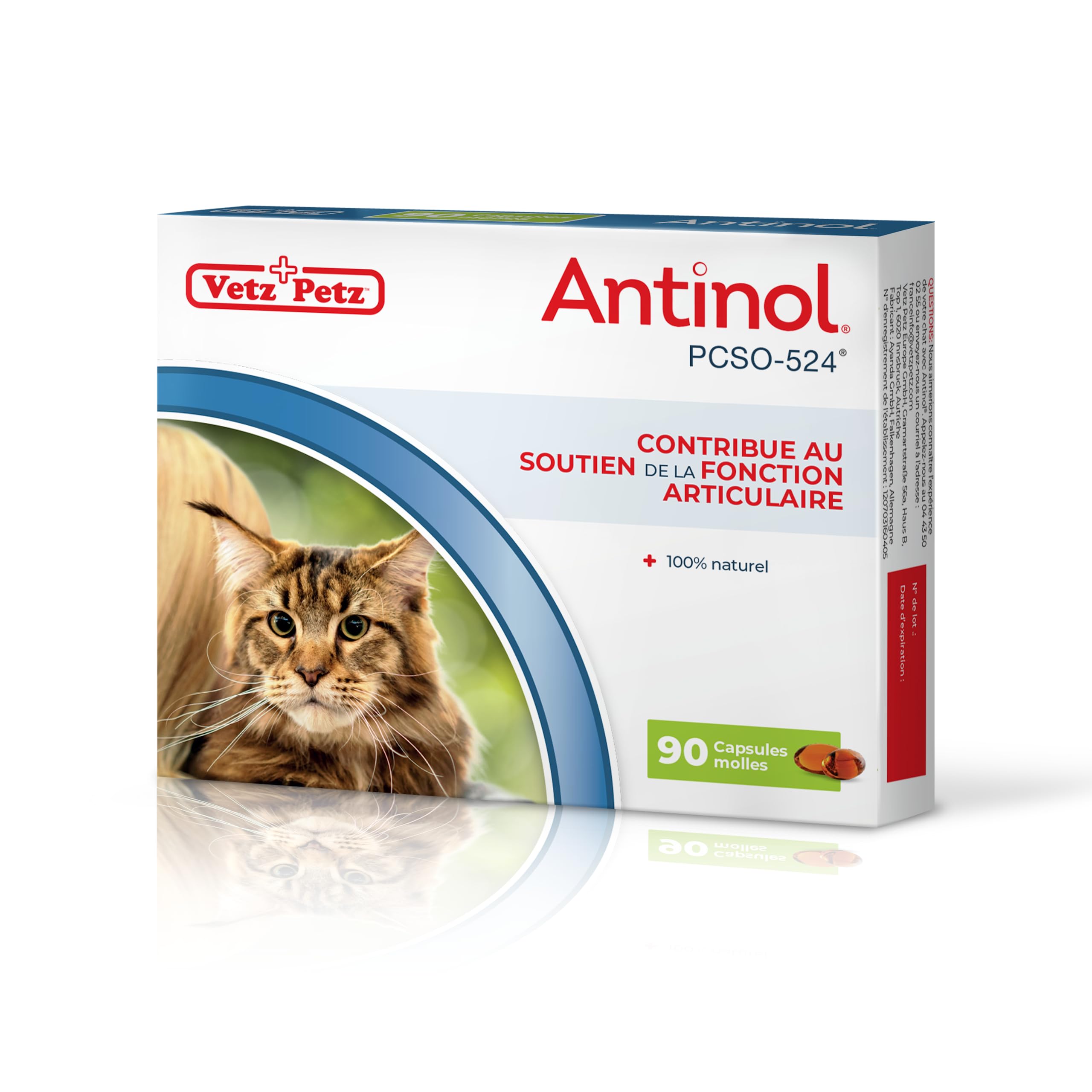 Antinol - Complément Naturel des Chats Adultes - cliniquement prouvé - soutient la mobilité des articulations et la santé de la Peau - avec des moules à lèvres Vertes, oméga 3 & VIT E - 90 Capsules
