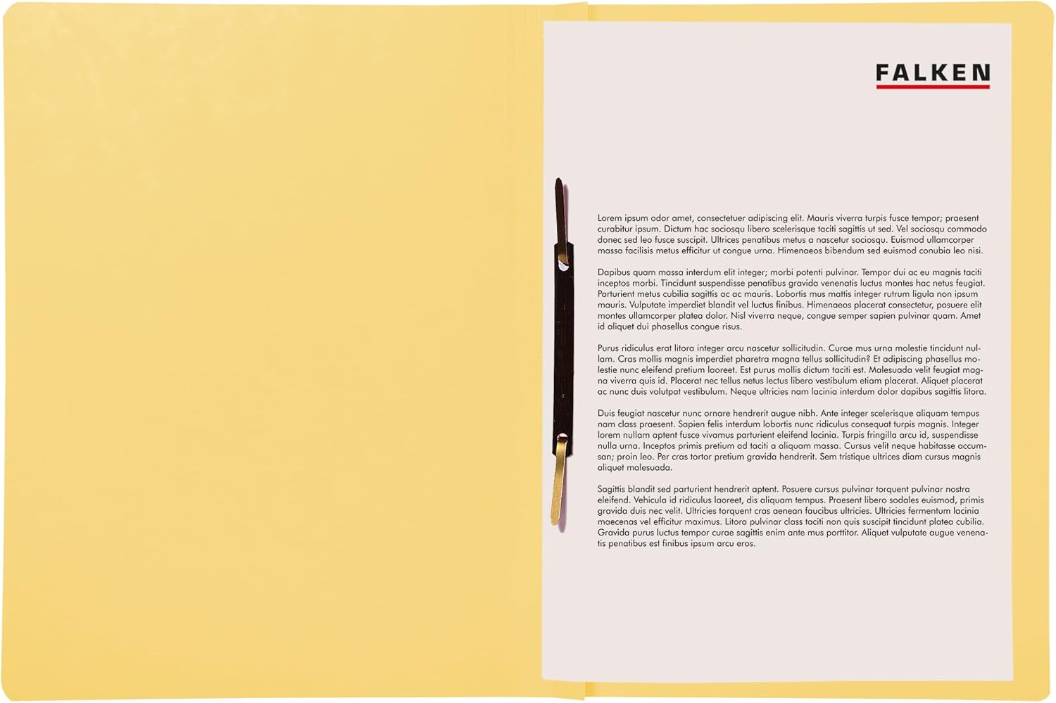 Exacompta - Ref 80000425002F - FALKEN - Flat Cardboard Files - A4 (210 x 297mm) in Size, 250gsm Recycled Manilla, Pre-Printed Cover, Blue Angel Certified - Yellow (Pack of 100)