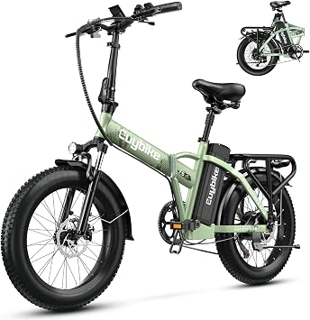 bluebiko 1000W Folding Electric Bike, 48V 20AH Large Removable Battery E Bike, 80 Miles Max Range, 20" Fat Tire Electric Bike for Adults, Adult Electric Bicycles for Commute Beach Snow