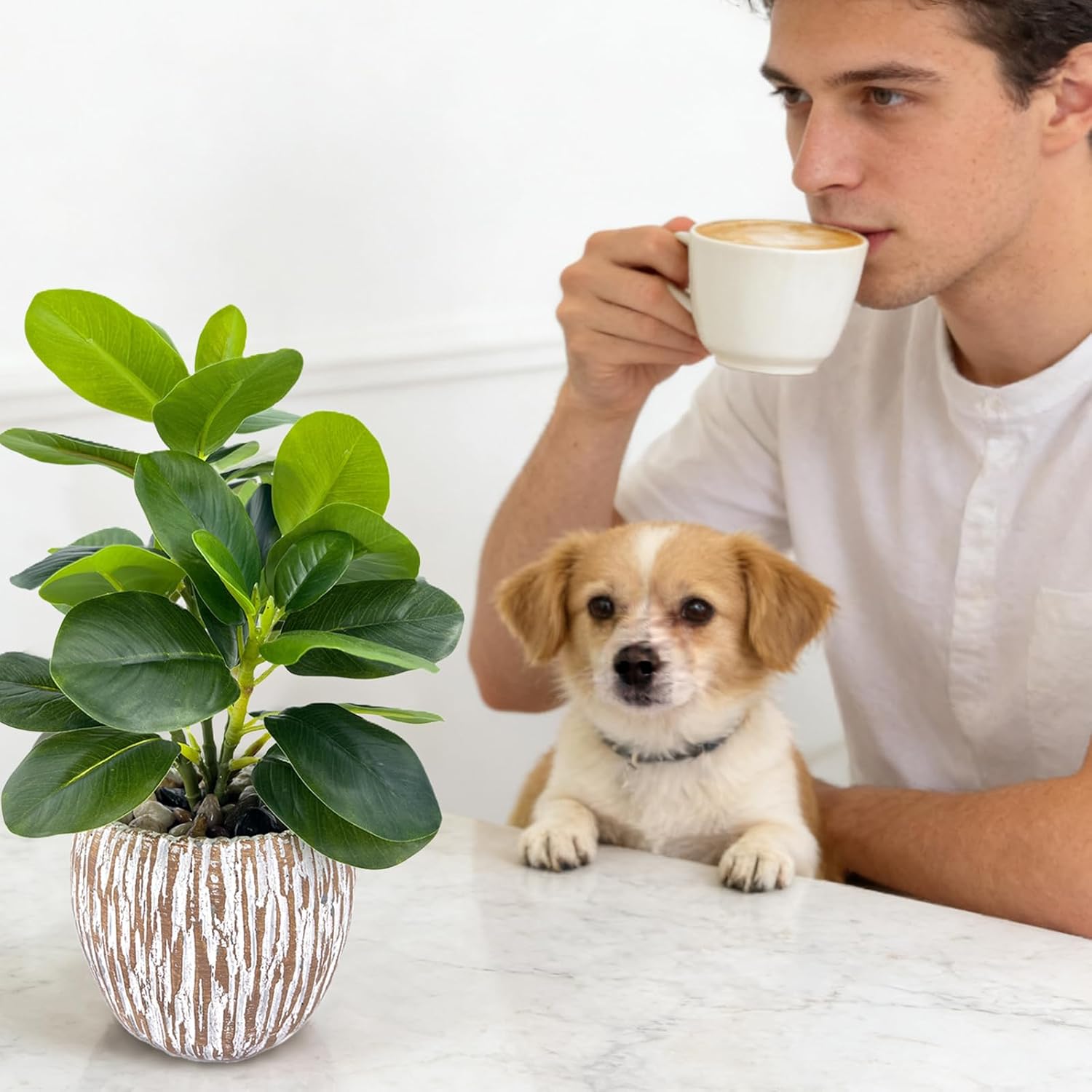 Artificial Potted Plants Life-Like Fake Plant with Farmhouse-Style Cement Planter Feturing Light Wood Tone for Room Bathroom Bedroom Kitchen Office Dese Coffee Table Décor (9inch)