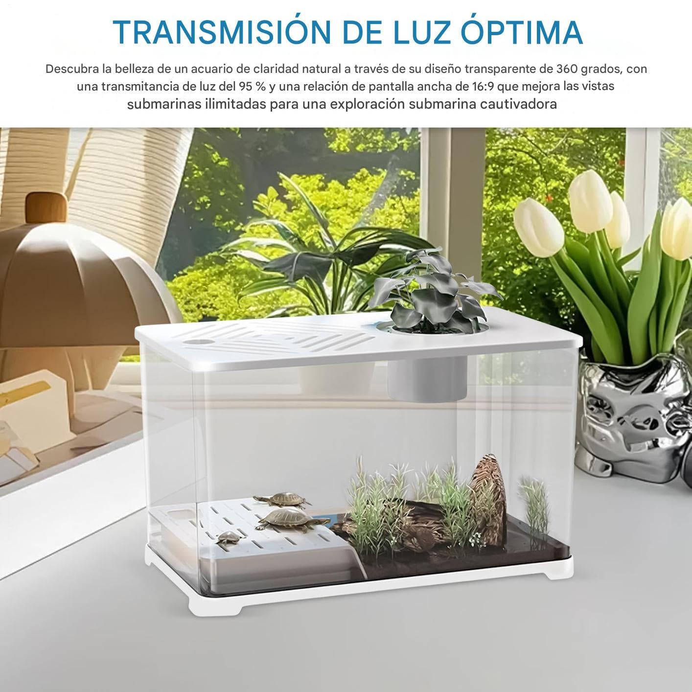 Acuario Pecera De Gran Tamaño Kit Inicial para Peces Dorados