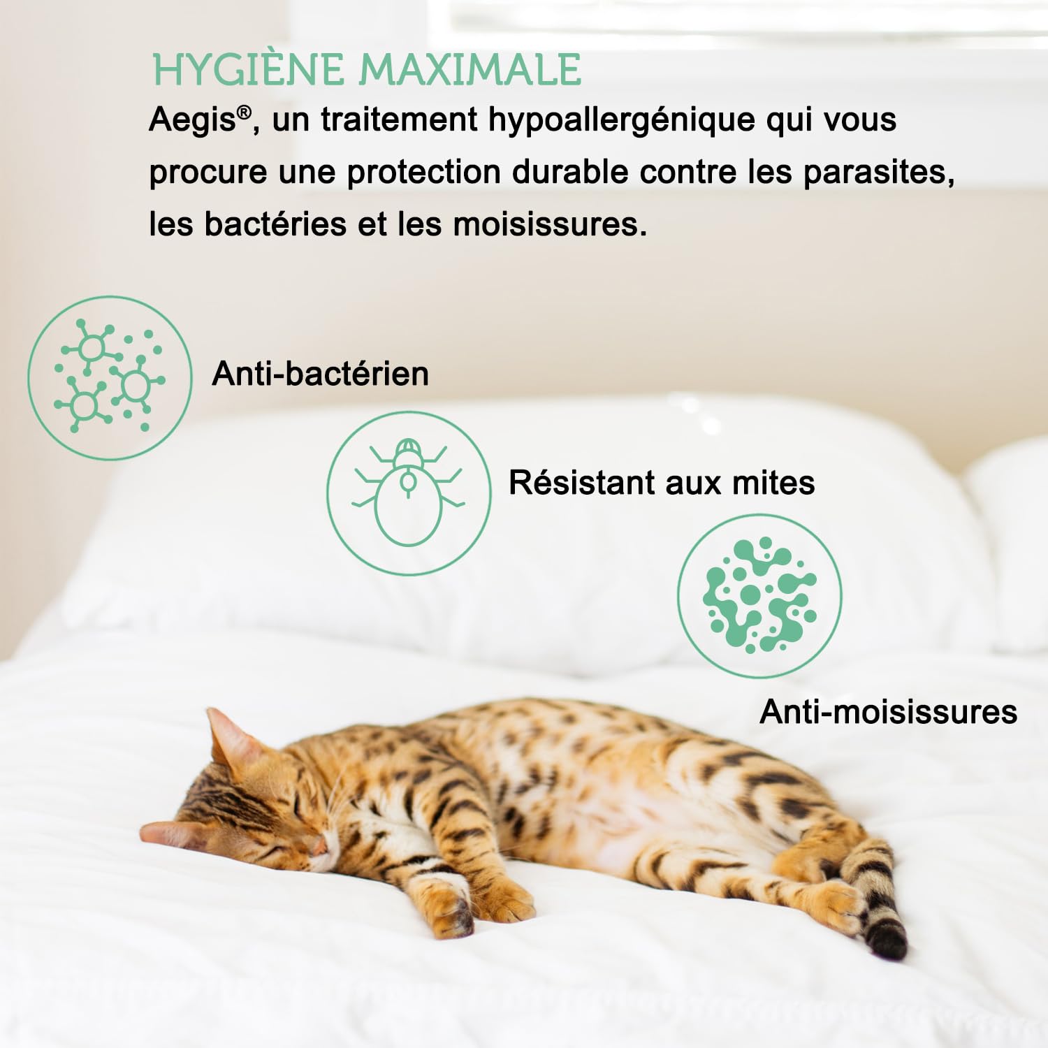 Protège Taie Oreiller 50x70 cm (Lot de 2) Imperméable en Tencel™ avec Fermeture Zip - Certifié Oeko-Tex® en Fibre Écologique et Durable Aegis® - Fabriqué en UE