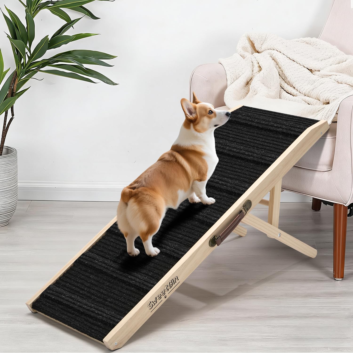 Rampe pour chien réglable avec tapis haute traction et plateforme de sécurité