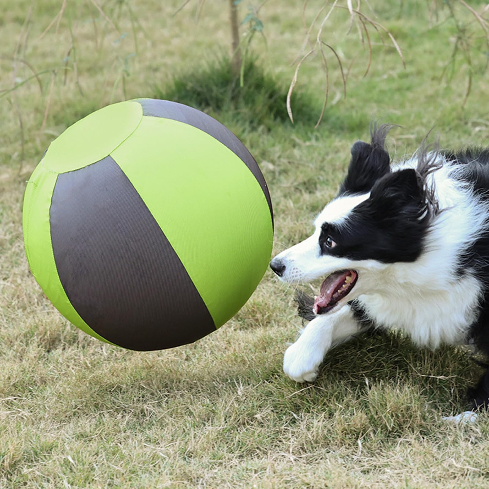 Pelota inflable para mascotas, juguete suave con los dientes y persiguiendo el aburrimiento, alivia el entretenimiento en interiores y exteriores, persecución de mascotas