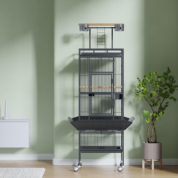 61 Large Parrot Cage, Rolling Caster Wheels, Large Bird Cage for Small Medium Parrots, Macaws, Cockatoos Sun Parakeet Green Cheek Conure Dove Lovebird Budgie Play Top with Stand