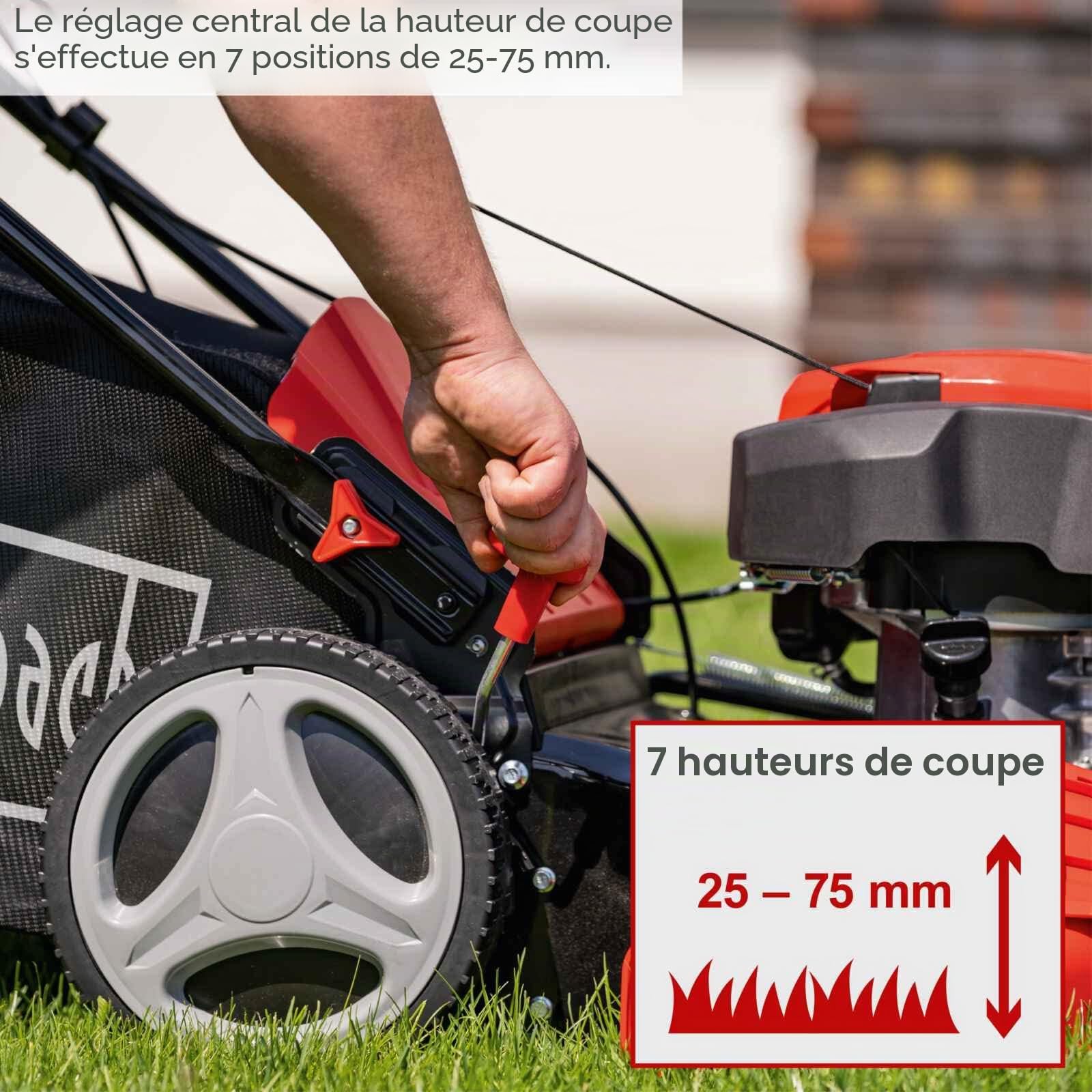 Scheppach Tondeuse à Gazon à Essence MS230-53 – Moteur 4 Temps 6 CV 4400 W – Largeur de Coupe 53 cm – Jardins de 1800 m² – Hauteur de Coupe réglable – Bac de 65 l – Fonction Mulching – Huile Incluse