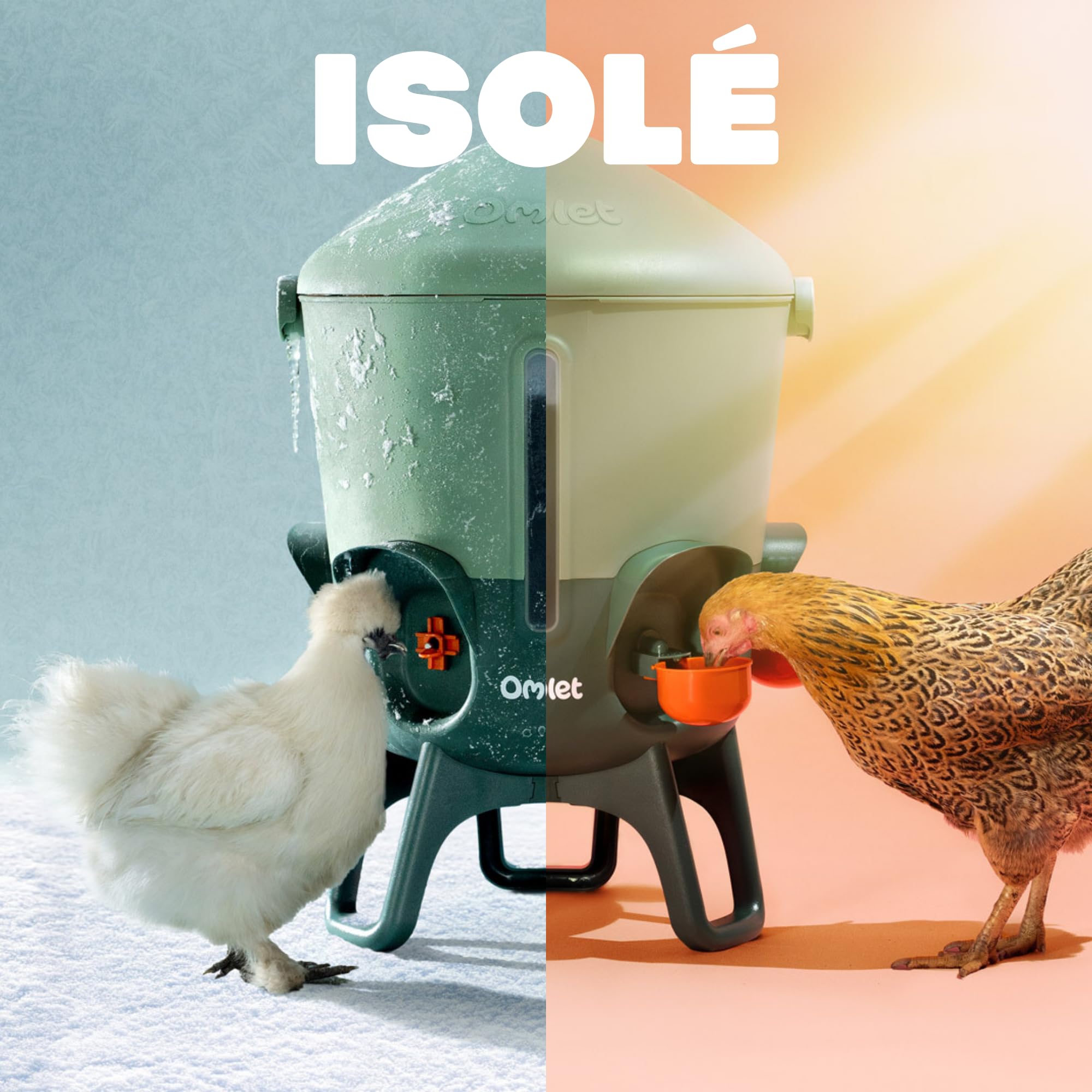 Omlet Abreuvoir isolé pour Poules 11 L | Eau Plus Propre Plus Longtemps | Distribution Automatique Hygiénique | Embouts Tasse et tétine Inclus | sans BPA | Vert Sauge
