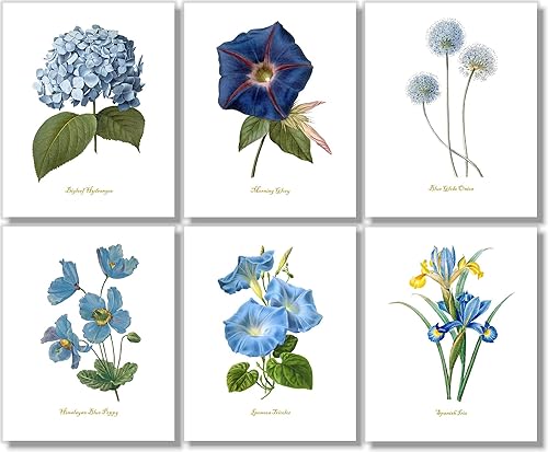 Blue Flower Wall Art - Vintage Floral Wall Decor - Botanical Prints - Watercolor Flower Pictures - Artwork For Bedroom, Living Room, Farmouse - Set