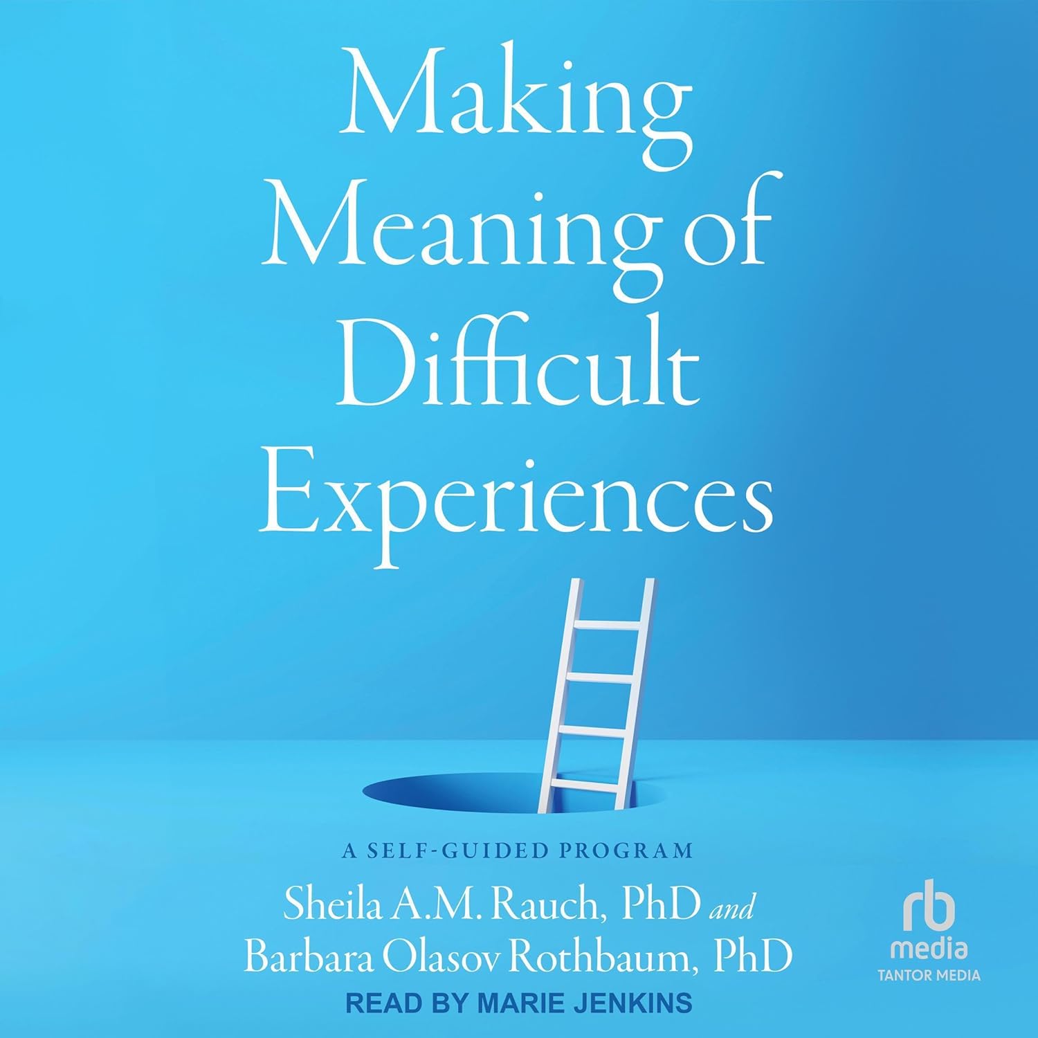 Amazon.com: Making Meaning of Difficult Experiences: A Self-Guided ...