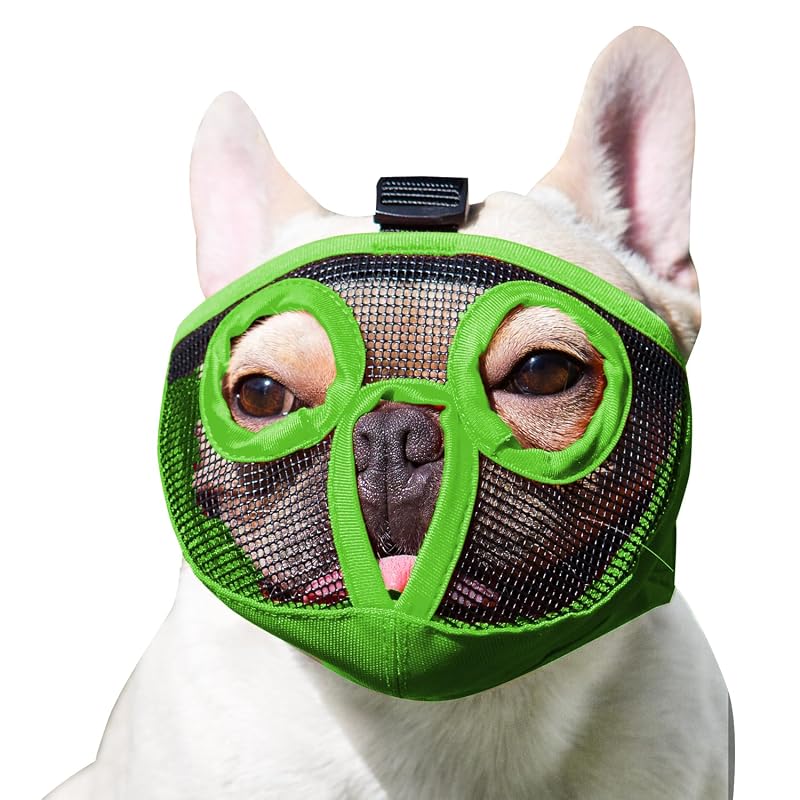 Focinheira para Cães de Focinho Curto em Mesh Respirável JYHY Verde (XL, 45,72–63,5 cm)