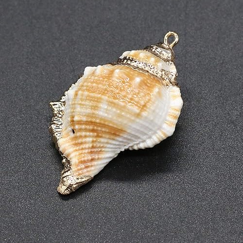 Miniatura 6 de 18 colgantes de concha natural, colgantes de caracola en espiral, diseño de conchas marinas, conchas náuticas de Cowrie, dijes de joyería con fianza