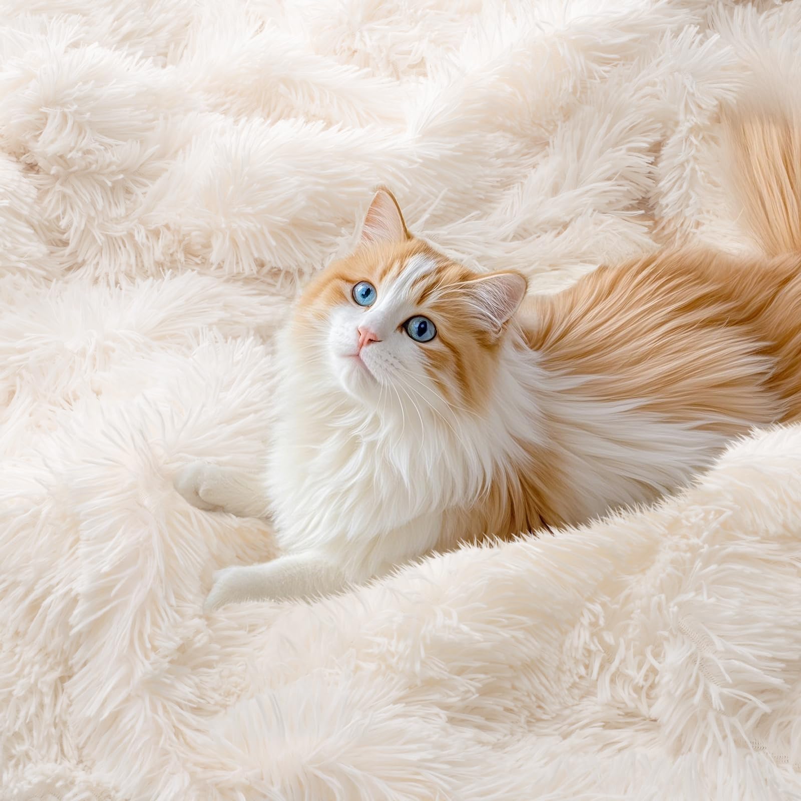 KANKAEU Coperta Pelosa Morbida, Coperta Matrimoniale per il Comfort, Plaid Divano Bianca 160x200cm, Facile da Pulire, Ideale come Coperta Invernale o Regalo, Coperta in Pile, Coperta da Divano