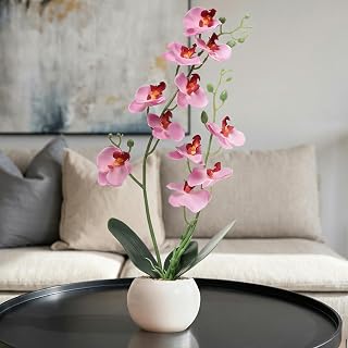 Decor & More Artificial Orchid Flowers with White Ceramic Pot 43 Cm| Phalaenopsis Orchids for Table Centerpiece | Realisti Price In India