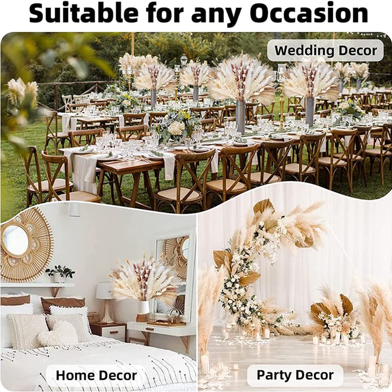 Ramo de Pasto Pampas Seco Boho Decor 100 varas miniatura 5