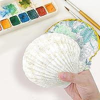 Vista 3 de YOUKE OLA 60 conchas de vieira para manualidades, conchas naturales de playa grandes a granel para decoupage, manualidades, conchas marinas