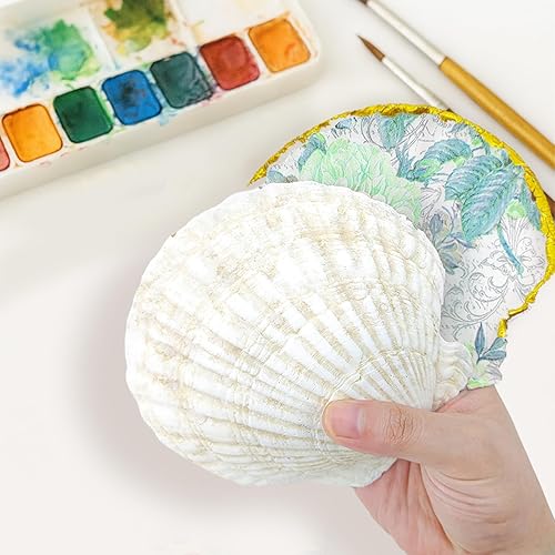 Miniatura 3 de YOUKE OLA 72 conchas de vieira para manualidades, conchas naturales de playa grandes a granel para decoupage, manualidades, conchas marinas,