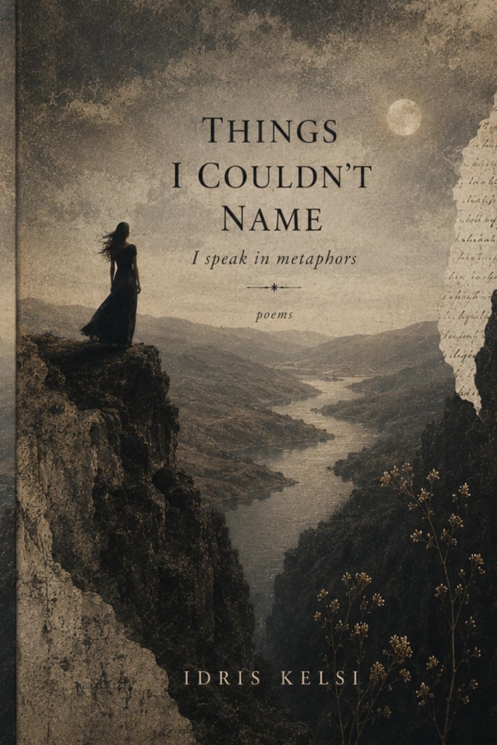 Things I couldn’t Name: I speak in Metaphors