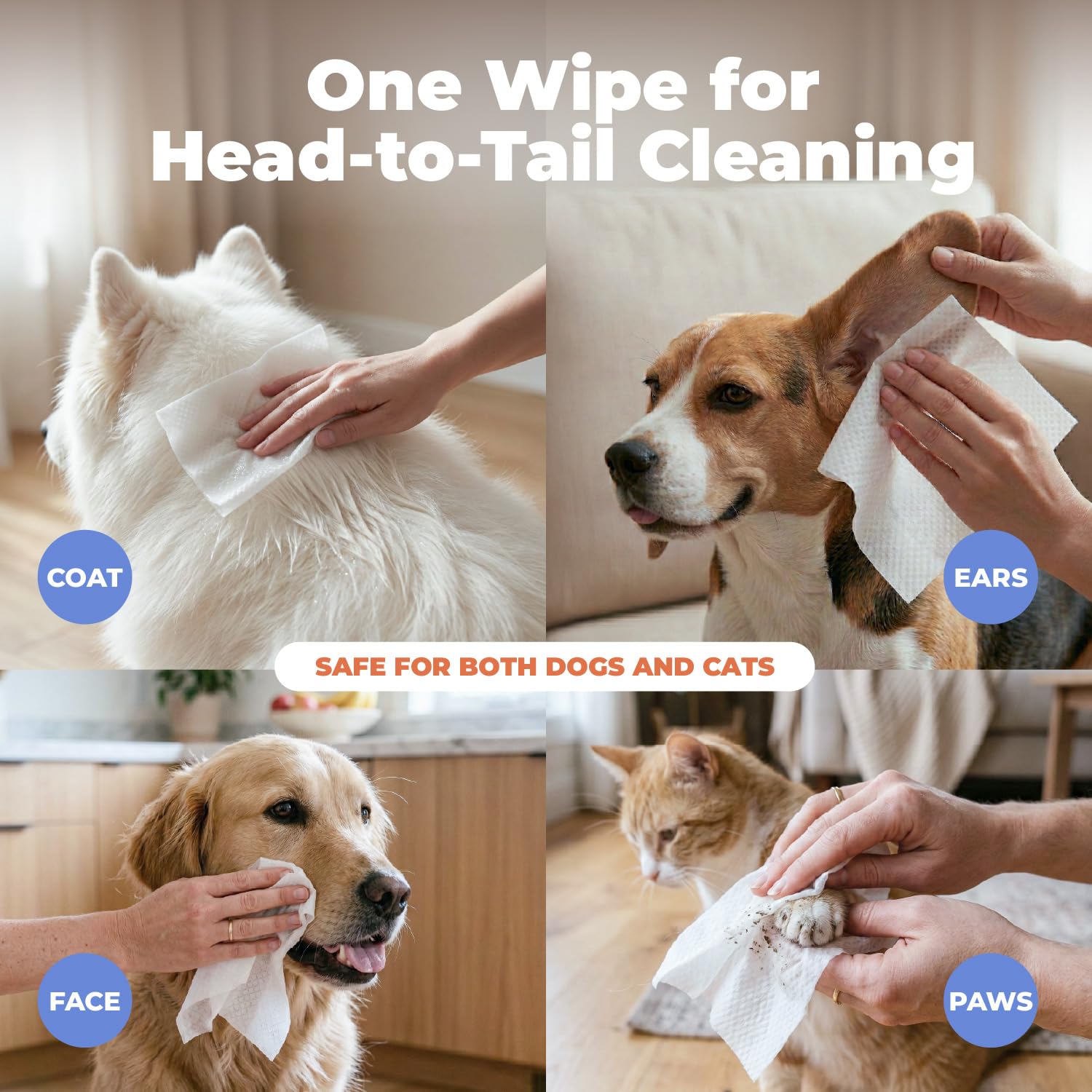 Best Pet Supplies Salviette per Cani – Salviette per Cani – Salviette per la Pulizia del Pelo per Pelliccia, Orecchie, Zampe – Cocco idratante