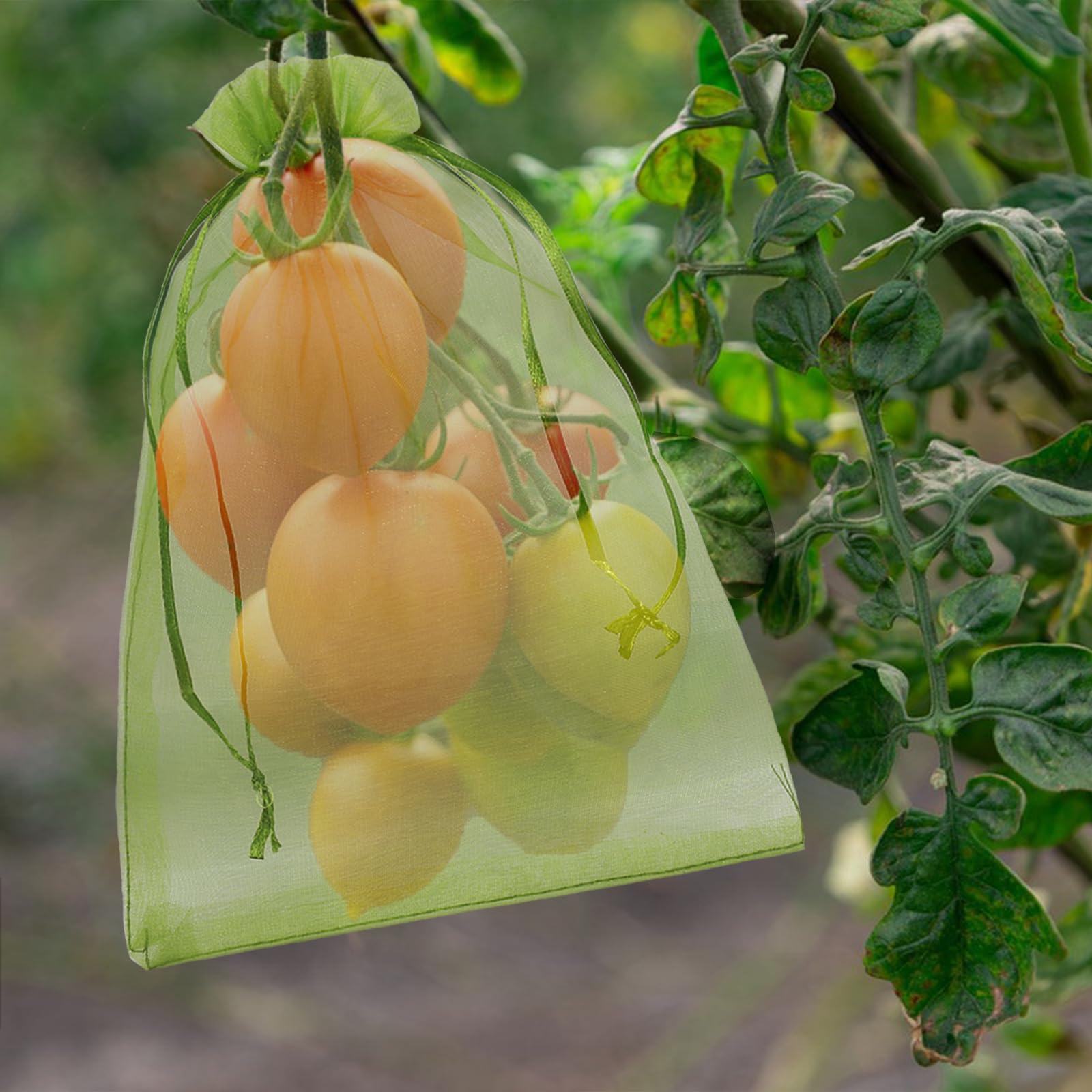 100 Pezzi Sacchetto di Protezione dell'uva 17 x 23 cm, Sacchetti Rete da Giardino, Rete Protettivi per Frutta con Coulisse, Contro Vespe Uccelli (Verde)
