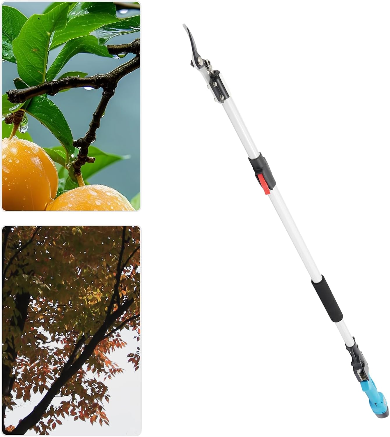 Electric Pole Pruning Shears 20V Cordless - Telescopic 5-6.5FT with SK5 Steel Blade, 2 Batteries & Charger, Brushless Motor for Tree Trimming (Cuts 1" Branches, 3-4H Runtime)