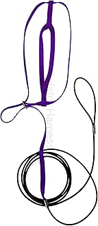 The AVIATOR Pet Bird Harness and Leash: X-Large Purple