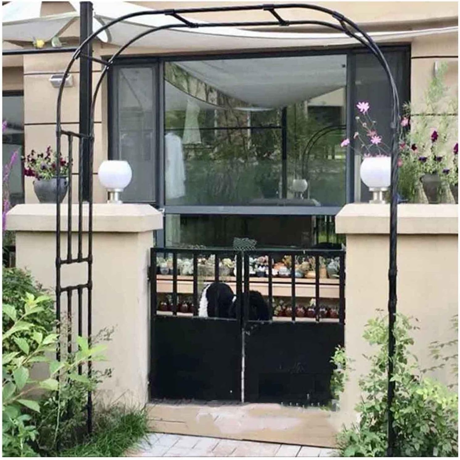 Plante grimpante archway tonnelle de jardin noire pour fleurs extérieurs