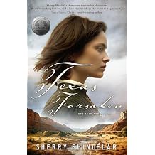 Texas Forsaken Lone Star Redemption