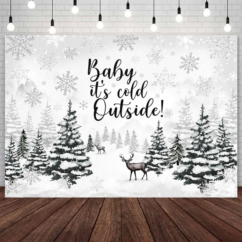 Amazon.com : AIBIIN 7x5ft Baby It's Cold Outside Backdrop Winter ...